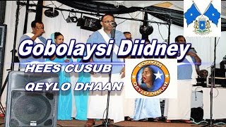 Kooxda Qeylodhaan  Hees Cusub GOBOLAYSI DIIDA  Dad Wada Dhashaan Nahay Hal Diiraannu Lenahay [upl. by Ploss]