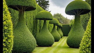 The Art of Topiary Shaping Nature into Stunning Forms [upl. by Norrahc]