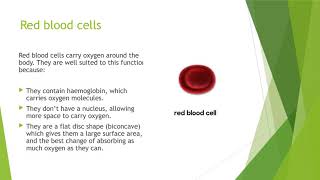 KS3 Biology  Specialised Cells [upl. by Dry]