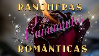 LOS CAMINANTES RANCHERAS ROMÁNTICAS PERRONAS [upl. by Etnovad]