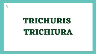 Trichuris trichiura  Trichuriasis Causes Signs and Symptoms Diagnosis amp Treatment  Whipworm [upl. by Suiramaj]