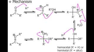 Reactions of Aldehydes amp Ketones Part A [upl. by Leviram]