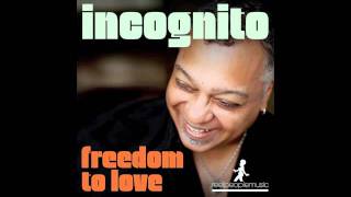 Incognito  Freedom To Love Reel People Rework [upl. by Caryl]