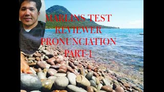 MARLINS TEST REVIEWER FOR SEAFARERS [upl. by Lovich321]