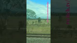 VLINE Southern Cross To Warrnambool 141223 victoria shorts shortvideo train travel views [upl. by Evy]