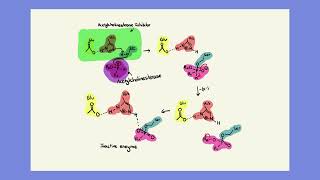 Acetylcholinesterase Inhibitors [upl. by Honora872]