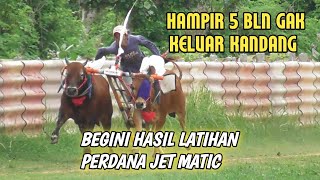 hasil latihan jet matic setelah 4bln Gak keluar kandang [upl. by Thormora]