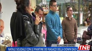 TG 28112017  NATALE SOLIDALE CON LE PIANTINE DEI RAGAZZI DELLA DOWN DADI [upl. by Edme583]