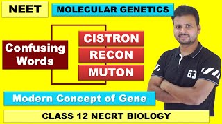 CISTRON  RECON  MUTON  Concept of Gene  Genetics Class 12  Molecular Biology  NEET 2023 [upl. by Amluz]