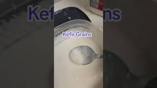 How to Make Kefir at Home Easy StepbyStep Guide [upl. by Brinson964]