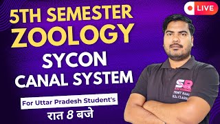 Lt05 Canal System In Porifera  5th Semester Zoology Paper  01  Sumit Rana Sir [upl. by Wylen]