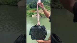 This Amazing Fishing Trap Went Viral on the Internet shorts trending viralvideo [upl. by Okun]