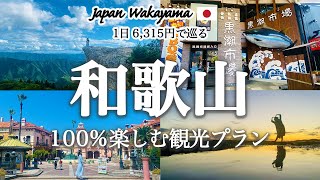 【和歌山観光】和歌山の定番・穴場スポットを車で巡る旅行プランを紹介！観光費用まとめ💰和歌山城｜ポルトヨーロッパ｜海鮮BBQ｜自然カフェ｜生石高原｜日本のウユニ塩湖 [upl. by Samala]