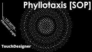 Phyllotaxis SOP  TouchDesigner [upl. by Luttrell]