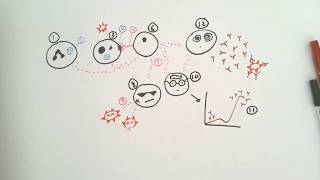 Biology Pictionary  Challenge 7 [upl. by Iva]