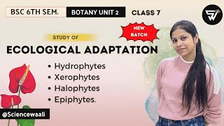 Ecological AdaptationHydrophytes Xerophytes Halophytes EpiphytesBSc 6th semester botany Unit 2 [upl. by Ecenaj666]