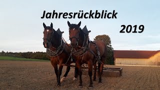 Jahresrückblick 2019  Best of Landwirtschaft mit Pferden [upl. by Ellehcan982]