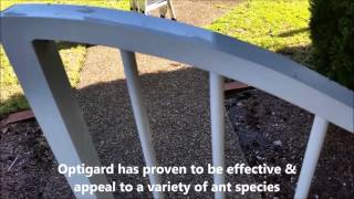 Optigard Ant Gel Review and Demonstration [upl. by Dnalerb]