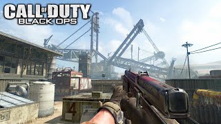 Attack Dogs using PM63 in 2024 Call of Duty Black Ops 1 Multiplayer Gameplay No Commentary [upl. by Delinda]