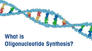 What is Oligonucleotide Synthesis [upl. by Odella736]