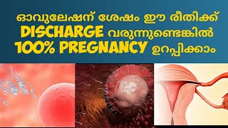 Early Pregnancy Discharge Malayalam Deechus World [upl. by Amer529]