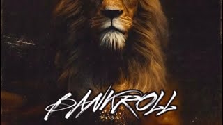 LiHoodrich  Bankroll Official Audio [upl. by Selec82]