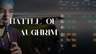 Battle of Aughrim  TUTORIAL  Tin Whistle [upl. by Assirahs]