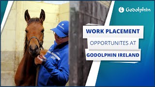 🇮🇪 Godolphin Ireland work experience opportunities [upl. by Nellahs]