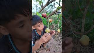 Ăn táo có nhiều nước  Eating apples has a lot of water shorts [upl. by Mcquade]