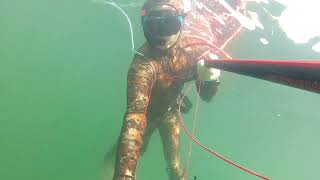 Spearfishing in october [upl. by Brenn]