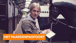 Alles over het paardenpaspoort  PaardenpraatTV [upl. by Alorac]