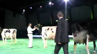 Swiss Expo 2012  HolsteinEuterChampionne [upl. by Echo]