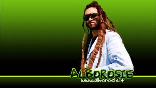 Alborosie  Cant Stand It HD [upl. by Aikel]