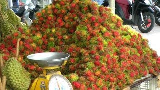 A Rambutan  Lychee Fruit Comparison  Nephelium lappaceum [upl. by Elicul254]