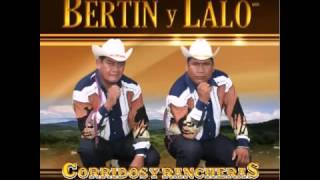 BERTIN Y LALO LA GALLINA [upl. by Yerac527]