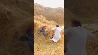 Funny videos prank videos funny mcomedy shorts videos YouTube videos [upl. by Ruperta21]