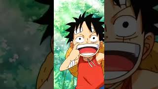 Episode 16 one piece luffy tiktok from k4ze [upl. by Ym326]