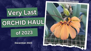 Very Last Orchid HaulDec2023 [upl. by Ailis581]