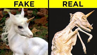 Mythical Creatures That Actually Exist In Real Life [upl. by Dewhirst]