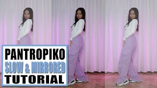 BINI  PANTROPIKO Dance Tutorial Slow amp Mirrored  Rosa Leonero [upl. by Urban487]