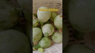 Chappan kaduu chickenyoutubeshorts cookingchannel food beaf [upl. by Lara]