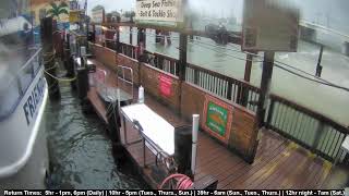 Hubbards Marina Dock Cam  Johns Pass  Madeira Beach FL  httpsHubbardsMarinacom [upl. by Dib]