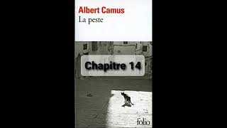 13  La peste de Camus  Chapitre 13  livre audio [upl. by Ishmul]