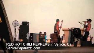 073011 Red Hot Chili Peppers  Adventures of Rain Dance Maggie video shoot Venice California [upl. by Cissy582]