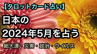 【タロット占い】日本の2024年を占う【総大運・災害・政治・ウイルス】 [upl. by Neellek]