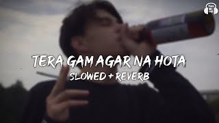 Tera Gham Agar Na Hota  Slowed amp Reverb  Ajay Devgan  Dil Hai Betaab  90s Lofi Song [upl. by Iturhs925]