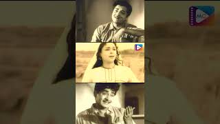 Naalikerathinte Naattilenikkoru  Kadamba  Malayalam Movie Song  K J Yesudas  Prem Nazir [upl. by Gertrude]