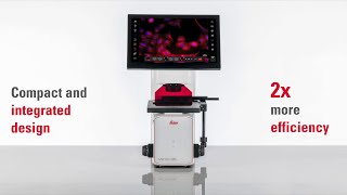 Mateo FL Digital Fluorescence Microscope [upl. by Eednahs]