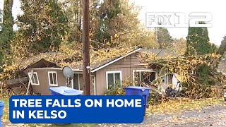 Kelso family displaced after tree falls on home [upl. by Moises]