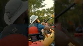 Afternoon kayaking to Blue Petes virginiabeach shorts exploring travel outdooradventure [upl. by Ryder]